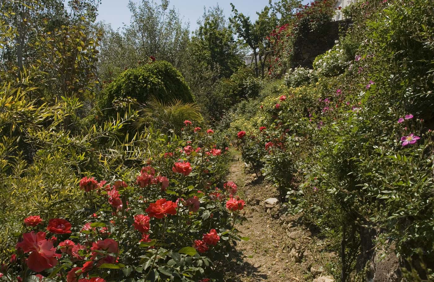 El jardín de rosas es extraordinario